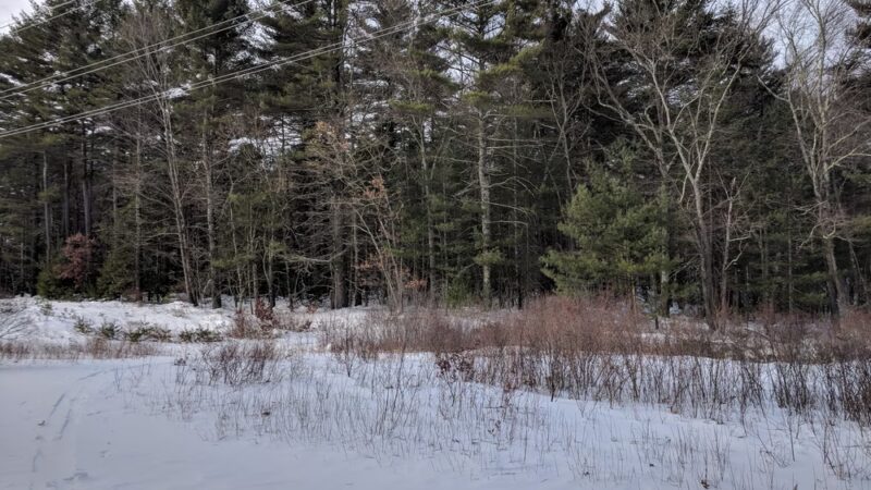 Fork Factory Brook Reservation - Medfield, MA