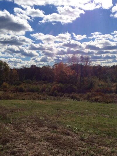 McCarthy Park and Fields - Medfield, MA