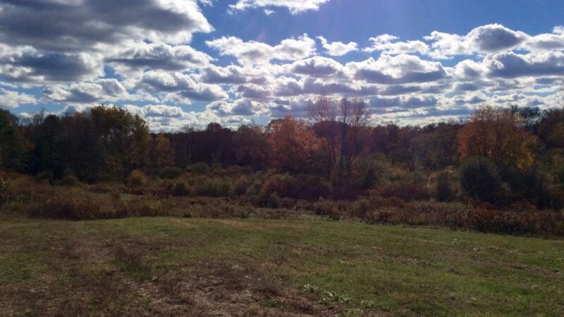 McCarthy Park and Fields - Medfield, MA