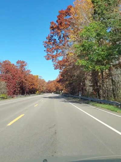 Medfield Charles River State Reservation - Medfield, MA