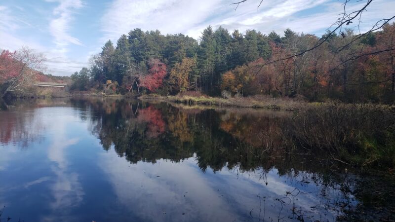 Medfield Charles River State Reservation - Medfield, MA