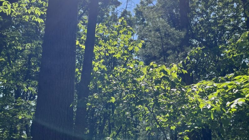 Medfield Park & Recreation - Medfield, MA