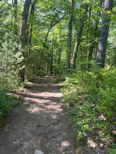 Medfield Park & Recreation - Medfield, MA