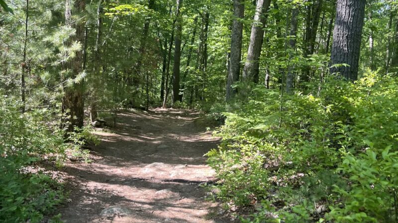 Medfield Park & Recreation - Medfield, MA