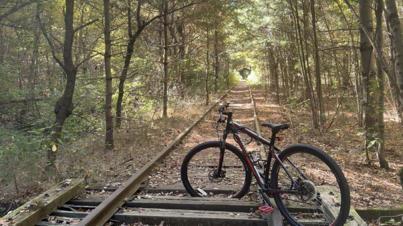 Medfield Rail Trail - Medfield, MA