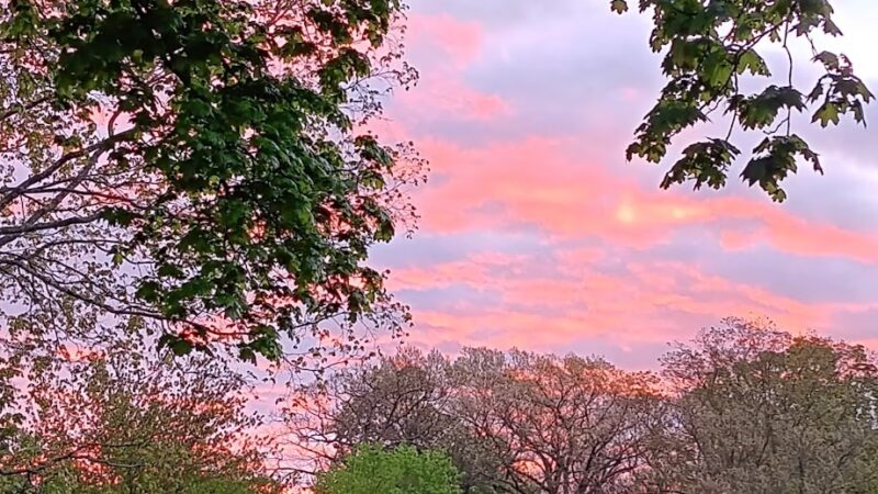 Medfield Rail Trail - Medfield, MA
