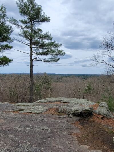 Noon Hill Reservation - Medfield, MA