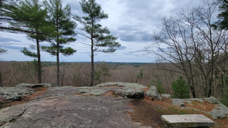 Noon Hill Reservation - Medfield, MA