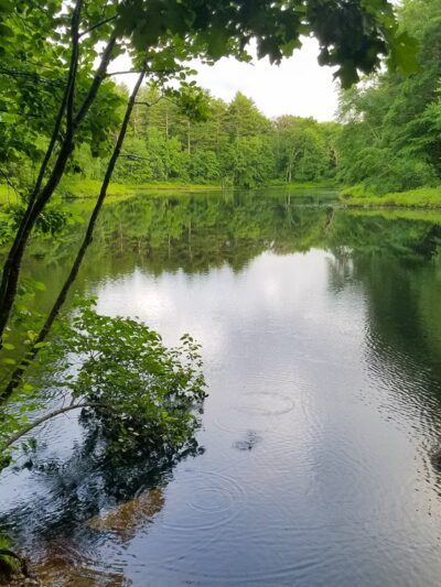 Noon Hill Reservation - Medfield, MA