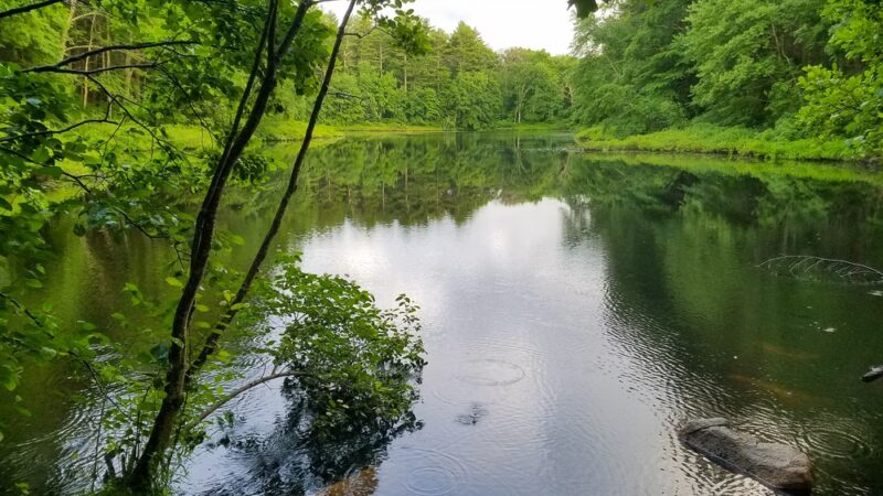 Noon Hill Reservation - Medfield, MA