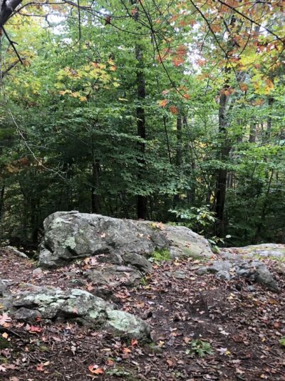 Noon Hill Reservation - Medfield, MA