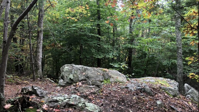 Noon Hill Reservation - Medfield, MA