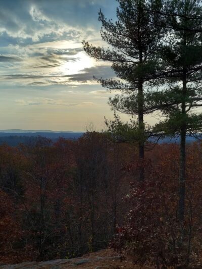 Noon Hill Reservation - Medfield, MA