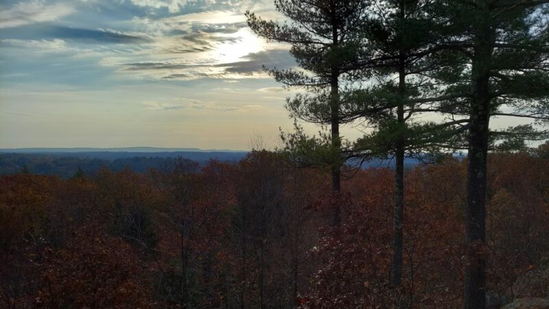 Noon Hill Reservation - Medfield, MA