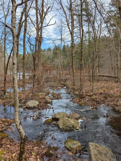 Noon Hill Reservation - Medfield, MA