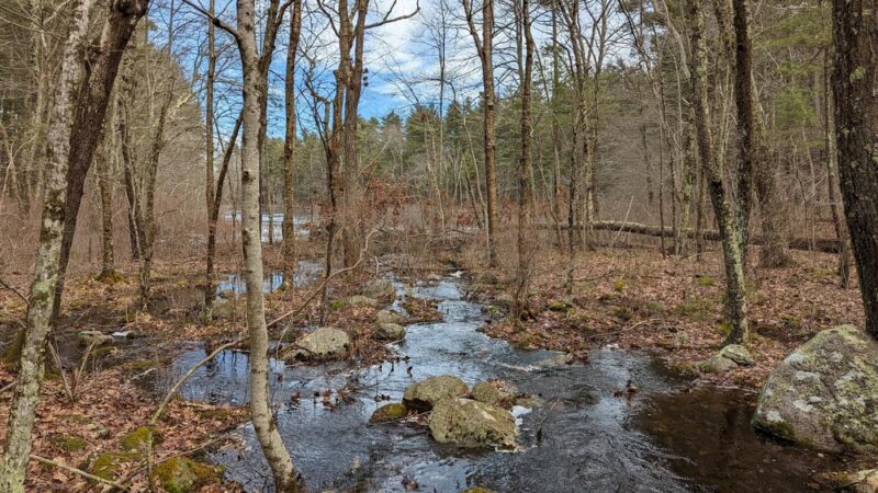 Noon Hill Reservation - Medfield, MA