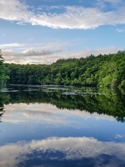 Rocky Woods Reservation - Medfield, MA