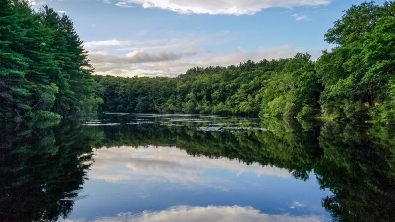 Rocky Woods Reservation - Medfield, MA