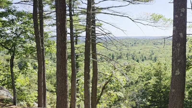Rocky Woods Reservation - Medfield, MA