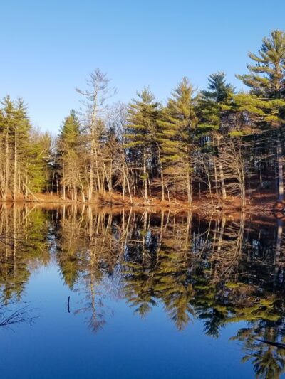 Rocky Woods Reservation - Medfield, MA