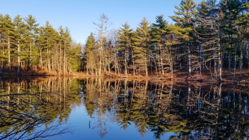 Rocky Woods Reservation - Medfield, MA