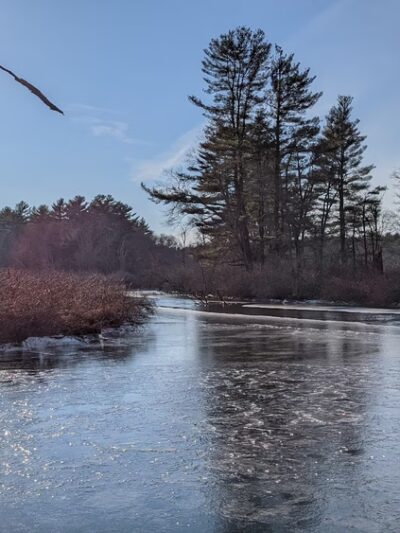 Shattuck Reservation - Medfield, MA