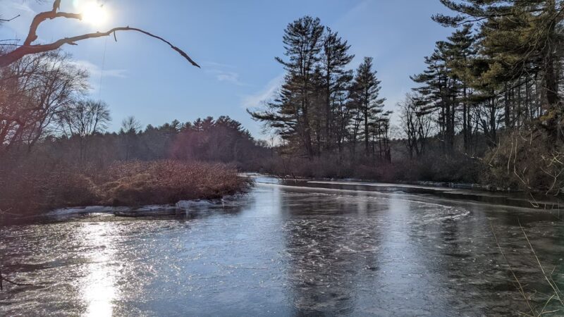 Shattuck Reservation - Medfield, MA