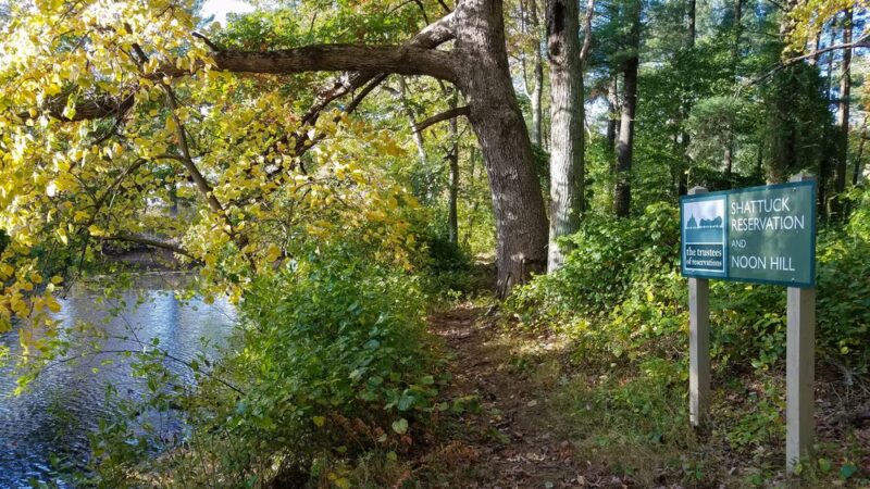 Shattuck Reservation - Medfield, MA