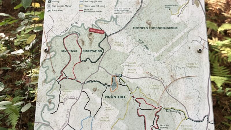 Shattuck Reservation - Medfield, MA