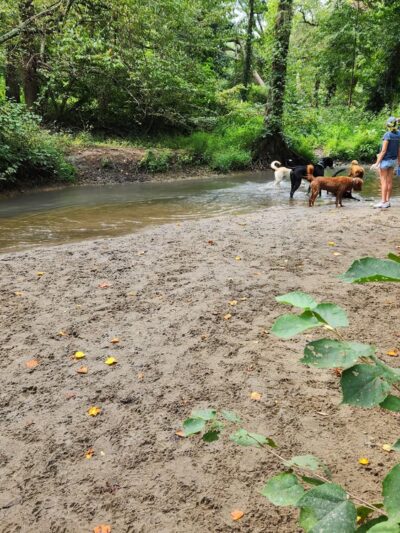 Freedom Park - Medford, NJ