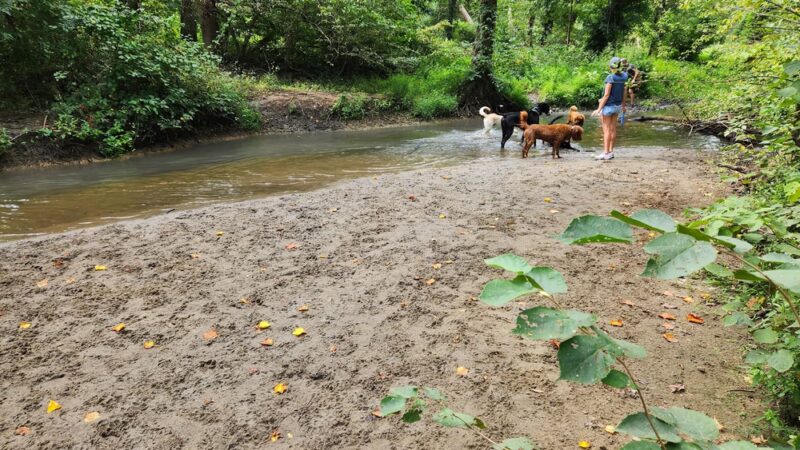 Freedom Park - Medford, NJ