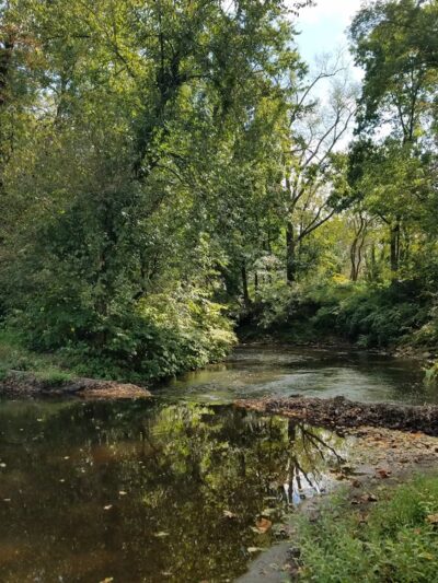 Medford Park / Bunning Field - Medford, NJ
