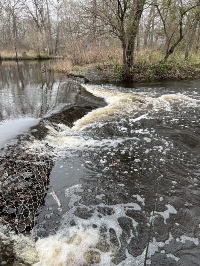Medford Park / Bunning Field - Medford, NJ
