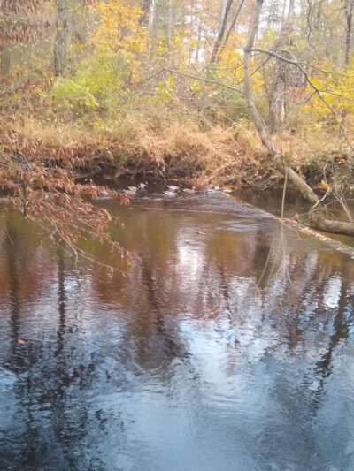 Medford Park / Bunning Field - Medford, NJ