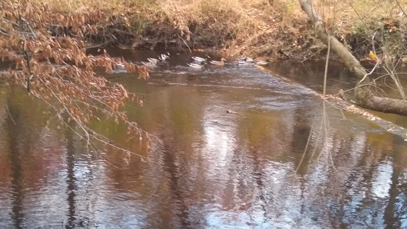 Medford Park / Bunning Field - Medford, NJ