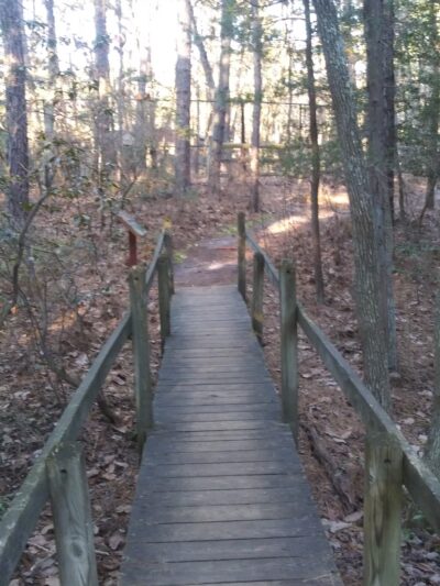 Woodford Cedar Run Wildlife Refuge - Medford, NJ