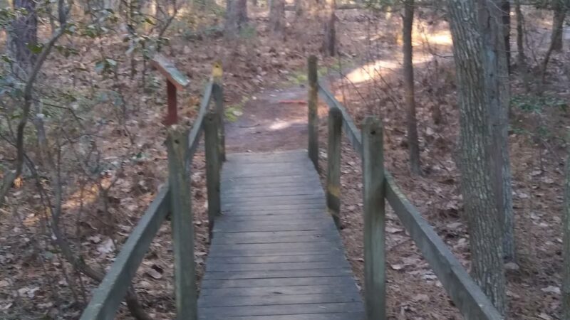 Woodford Cedar Run Wildlife Refuge - Medford, NJ