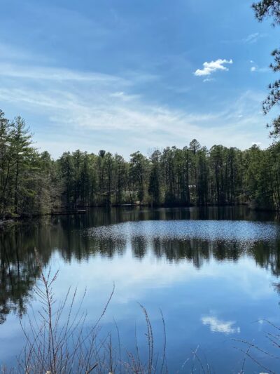 Woodford Cedar Run Wildlife Refuge - Medford, NJ