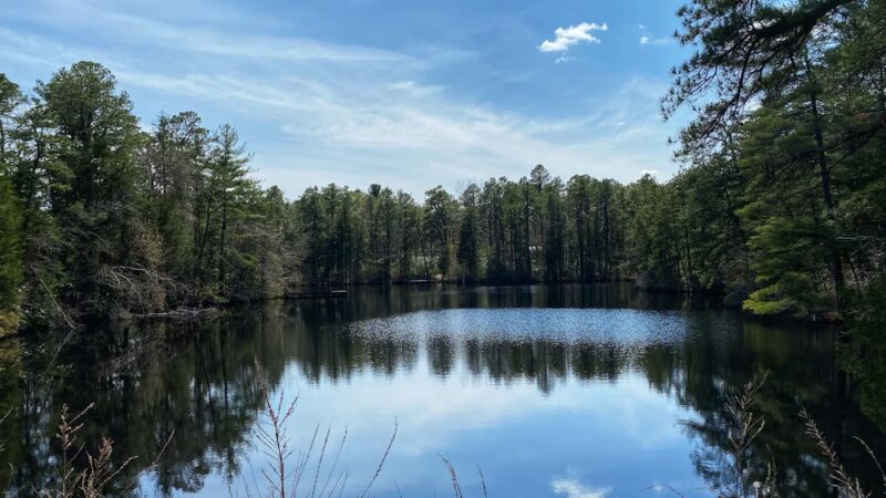 Woodford Cedar Run Wildlife Refuge - Medford, NJ