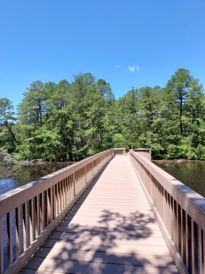 Woodford Cedar Run Wildlife Refuge - Medford, NJ