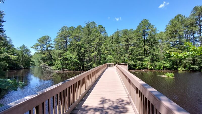 Woodford Cedar Run Wildlife Refuge - Medford, NJ