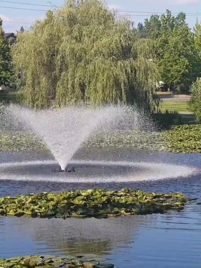 Medina Park - Medina, WA