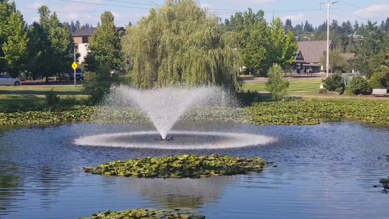 Medina Park - Medina, WA