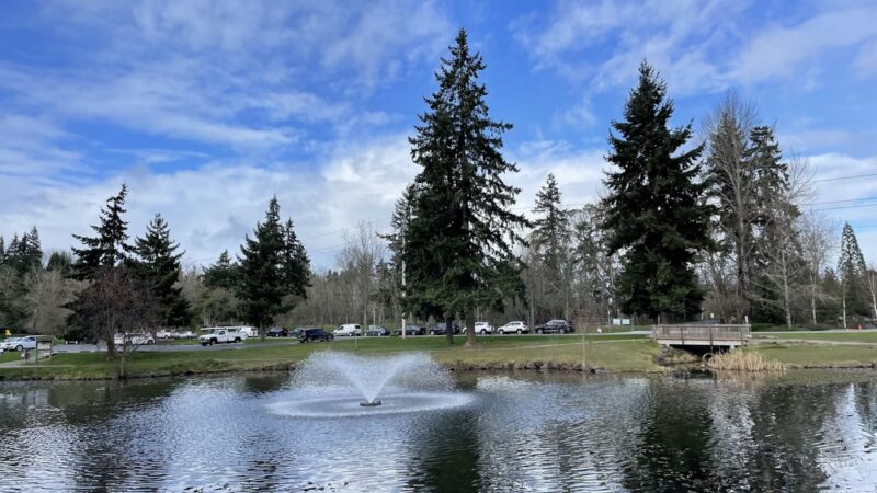 Medina Park - Medina, WA