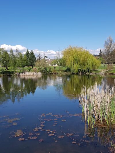 Medina Park - Medina, WA