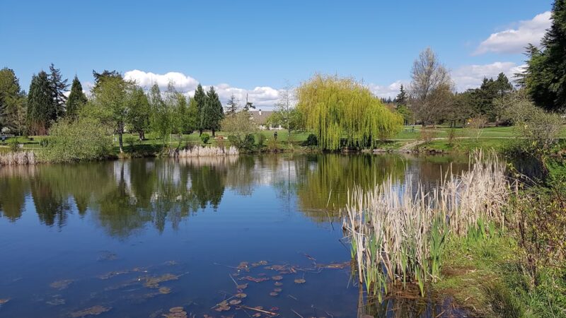 Medina Park - Medina, WA