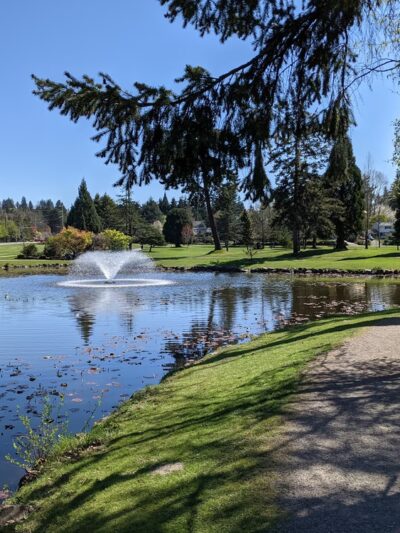 Medina Park - Medina, WA