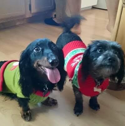 Megan's Sitting Service - ,