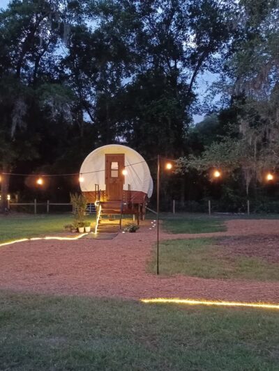 Rooterville Animal Sanctuary - Melrose, FL