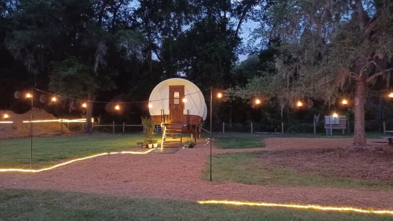 Rooterville Animal Sanctuary - Melrose, FL